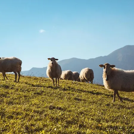 Arce 4* Saint-Etienne-de-Baigorry