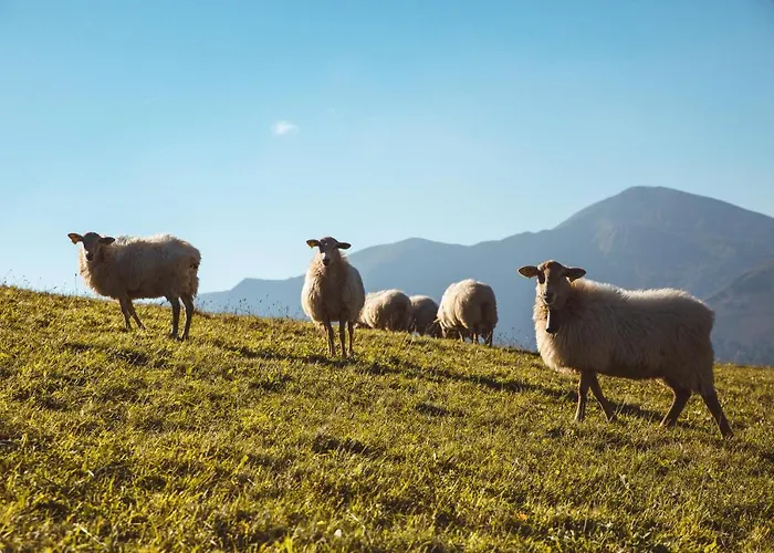 Arce 4* Saint-Etienne-de-Baigorry